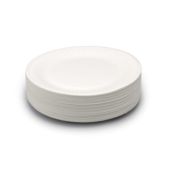 Disposable Paper Plates - Pk100